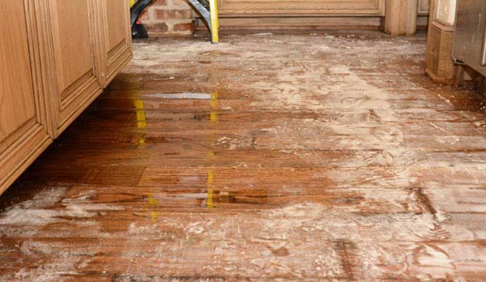 home wood floor water damage appliance leak cleanup