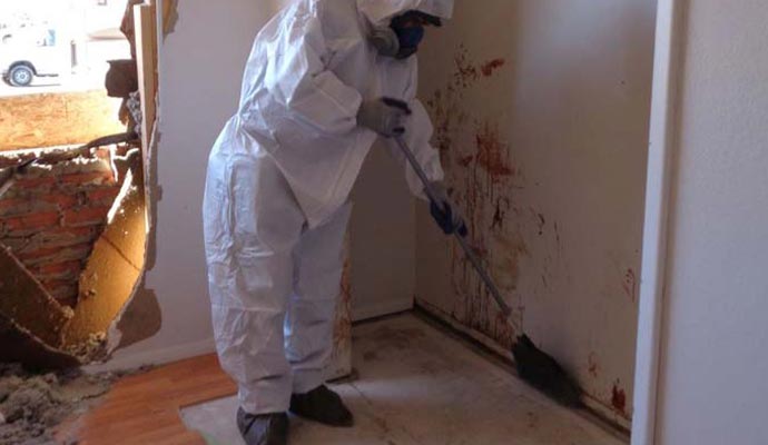 professional men waring uniform biohazard cleanup damage home room