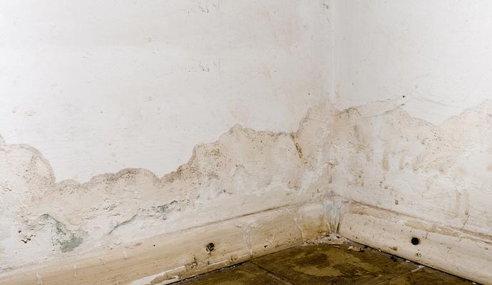 white drywall water leak mold damage